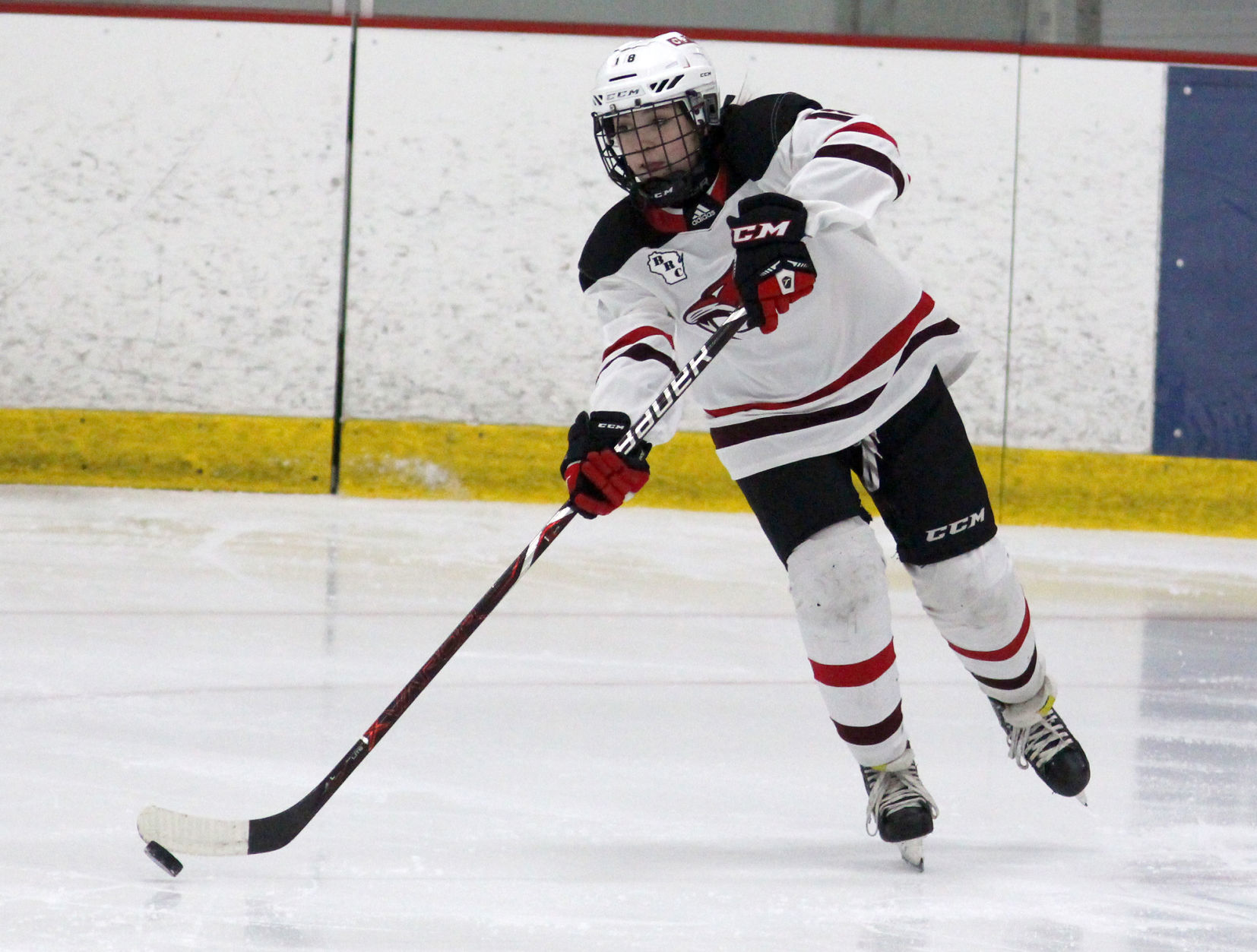 Hayward at Chippewa Falls/Menomonie girls hockey 2-20-20